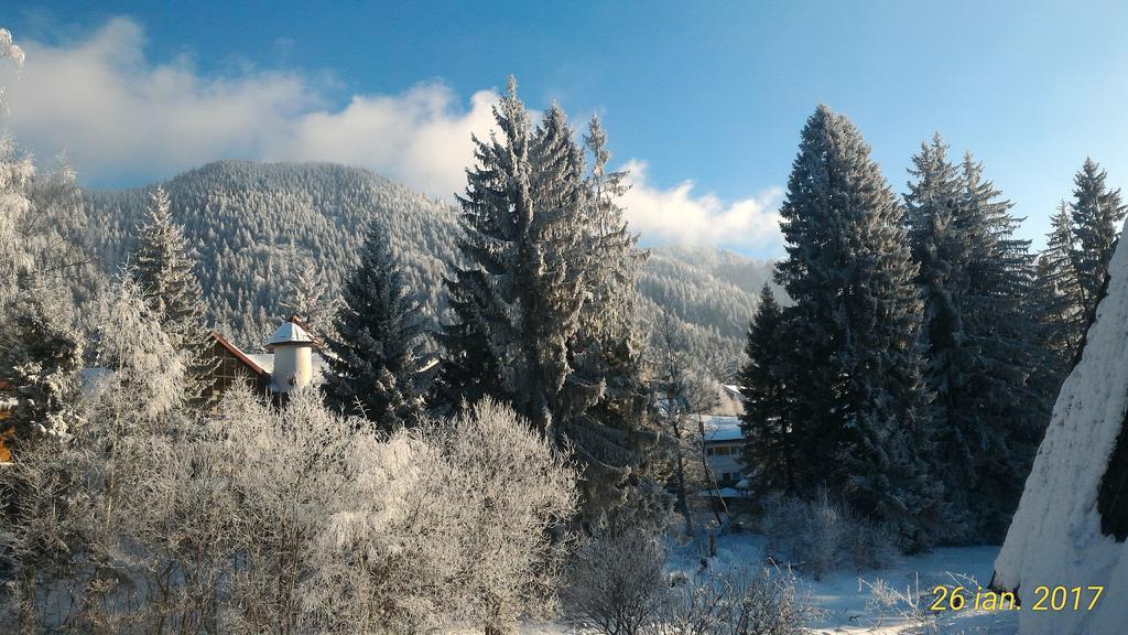 Apartament Ana Poiana Brasov Apartment Exterior photo